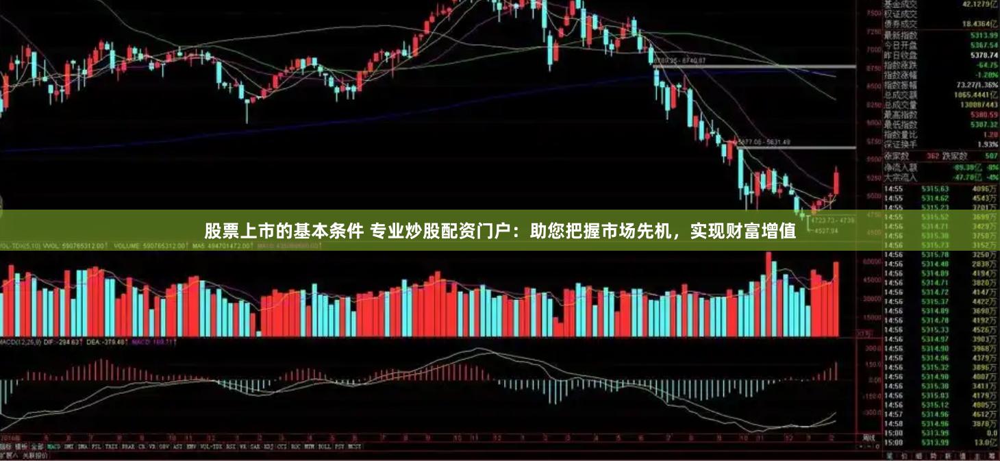 股票上市的基本条件 专业炒股配资门户：助您把握市场先机，实现财富增值
