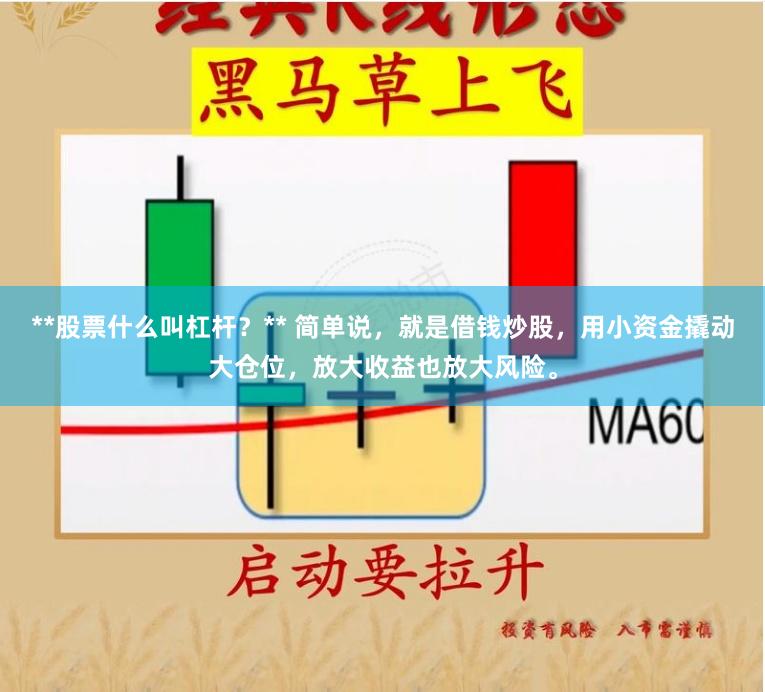 **股票什么叫杠杆？** 简单说，就是借钱炒股，用小资金撬动大仓位，放大收益也放大风险。